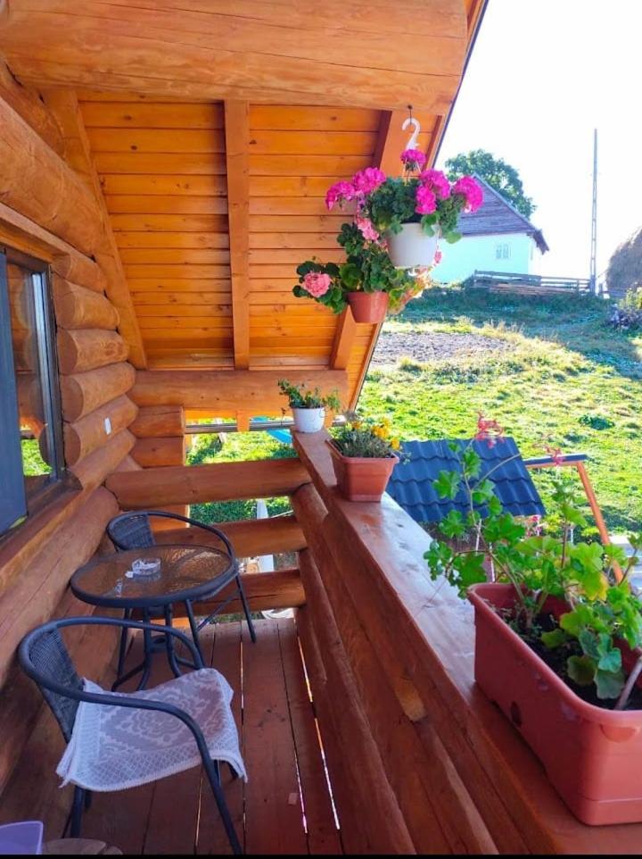 Cabana Colt De Munte Gîrda de Sus Dış mekan fotoğraf